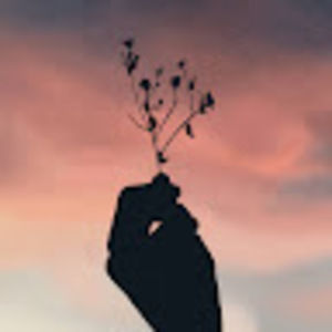 Meet your Posher, Mukharram